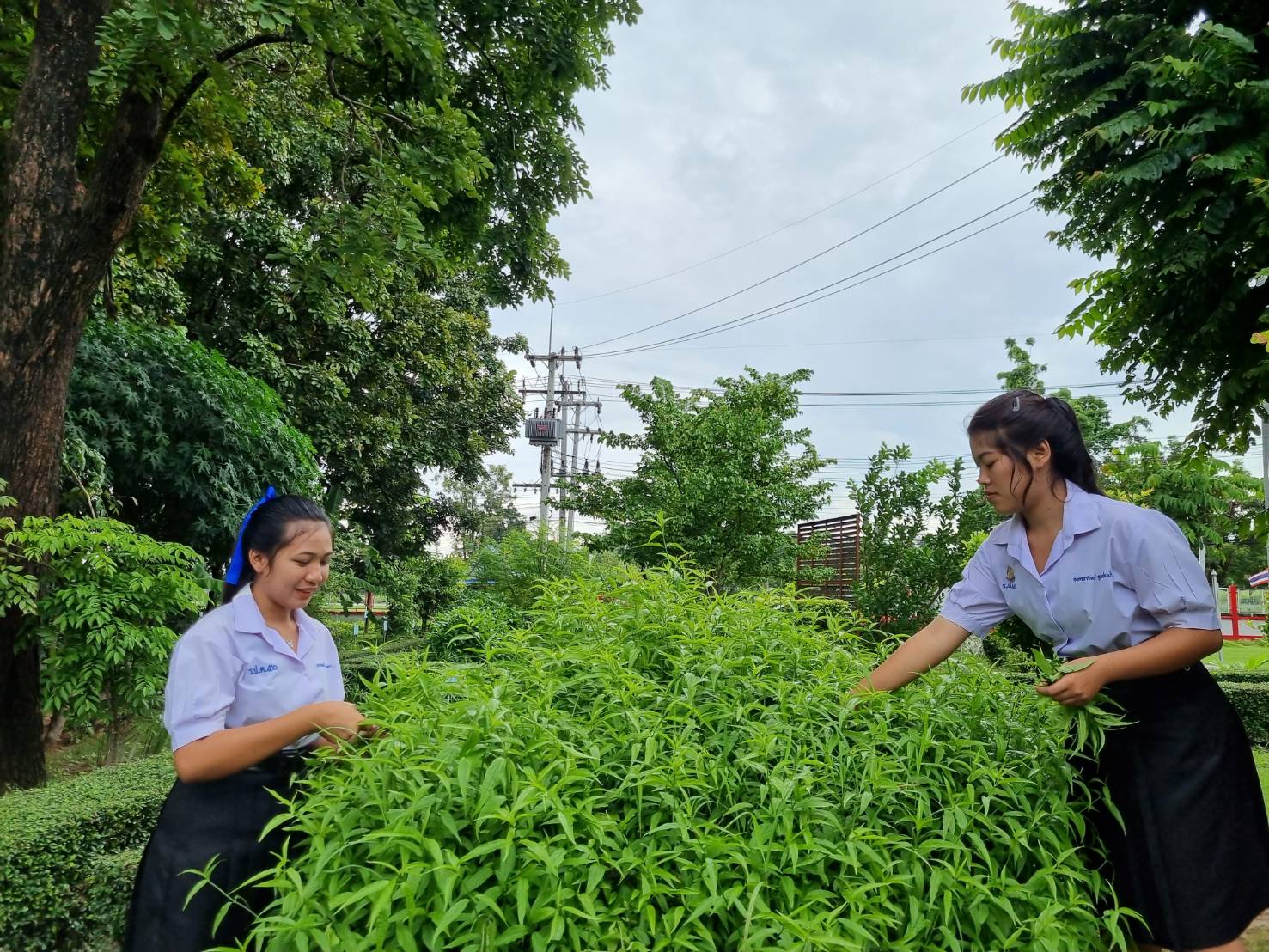 ภาพข่าว
